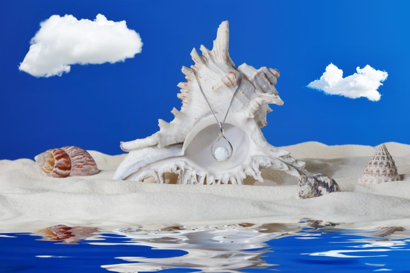 evolution_group_sperky-2 evolution_group_sperky-2